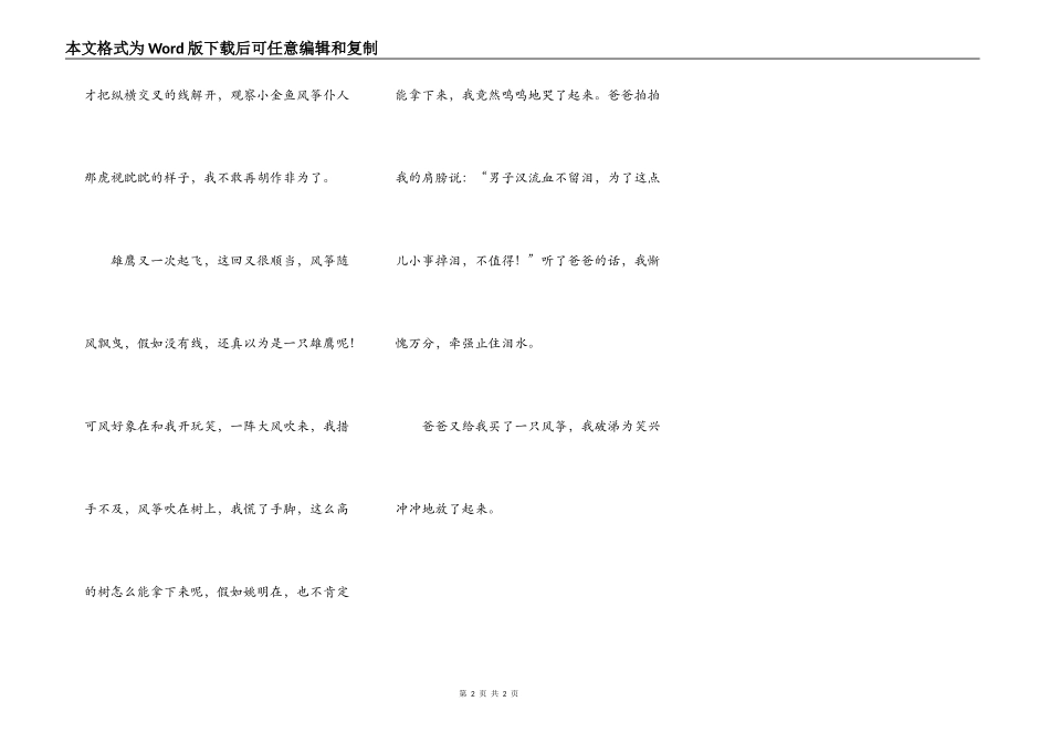 石梅广场放风筝_第2页