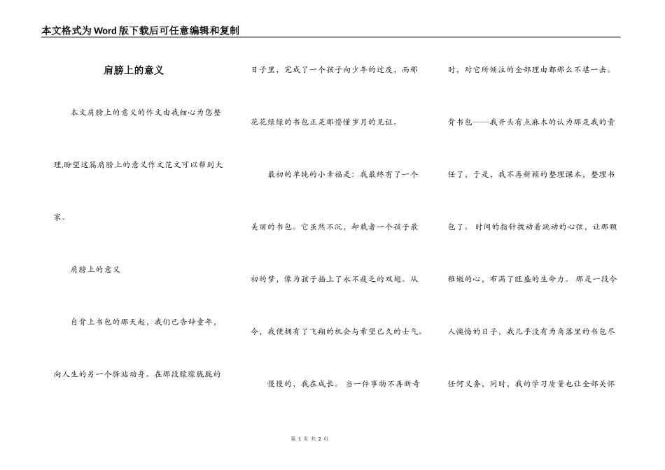 肩膀上的意义_第1页