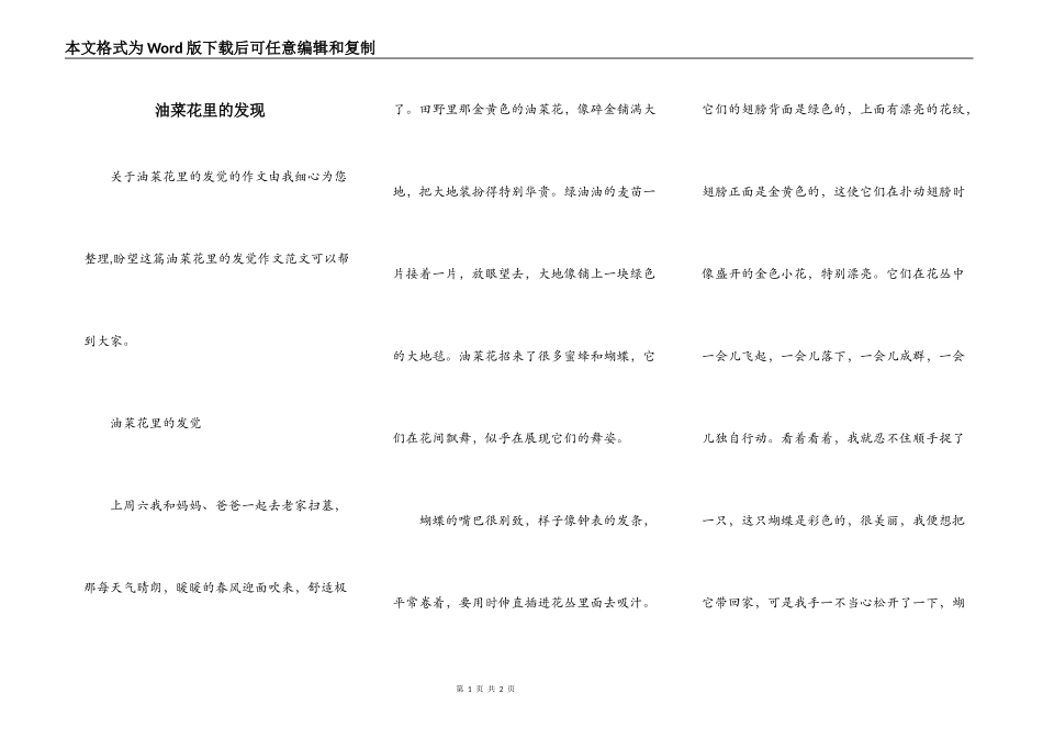 油菜花里的发现_第1页