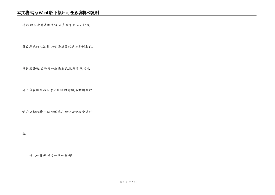 读青海高原一株柳有感_第2页