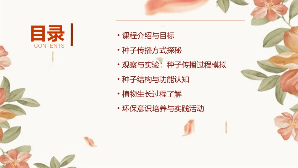 幼儿园大班科学《种子的旅行》PPT课件_第2页