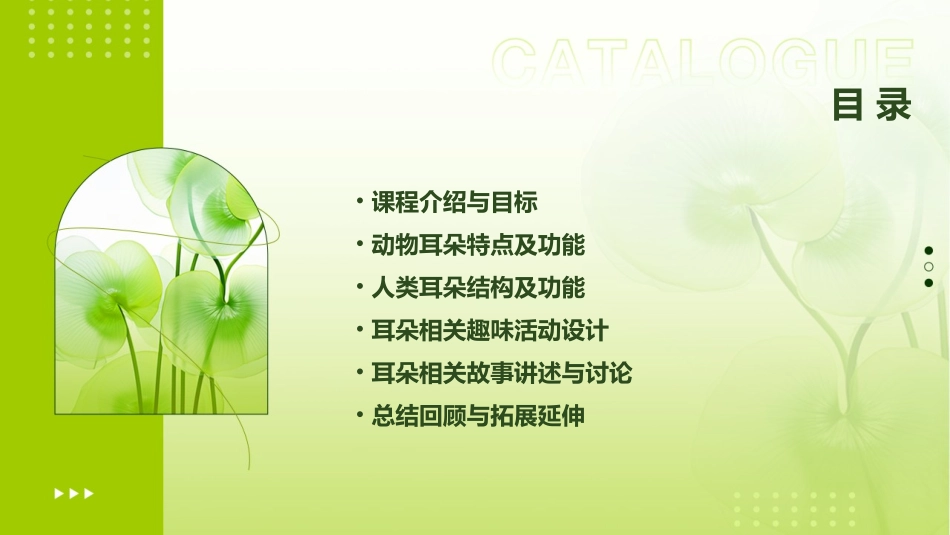 谁的耳朵(幼儿园)课件_第2页