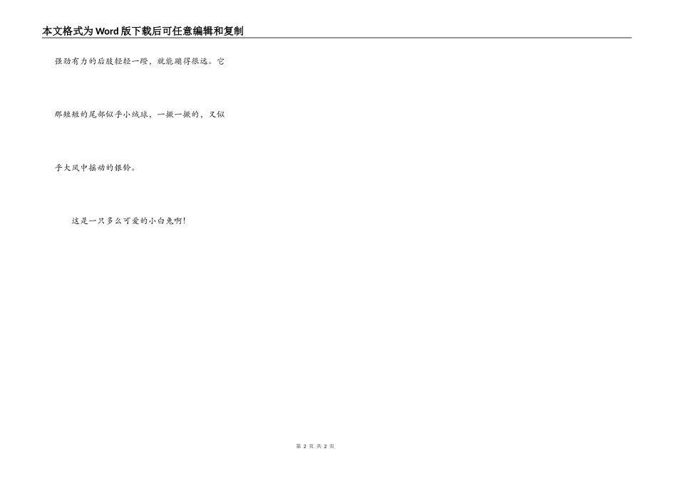 我最喜欢的小动物--小白兔_第2页