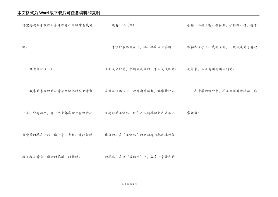 美丽的朱顶红_第2页