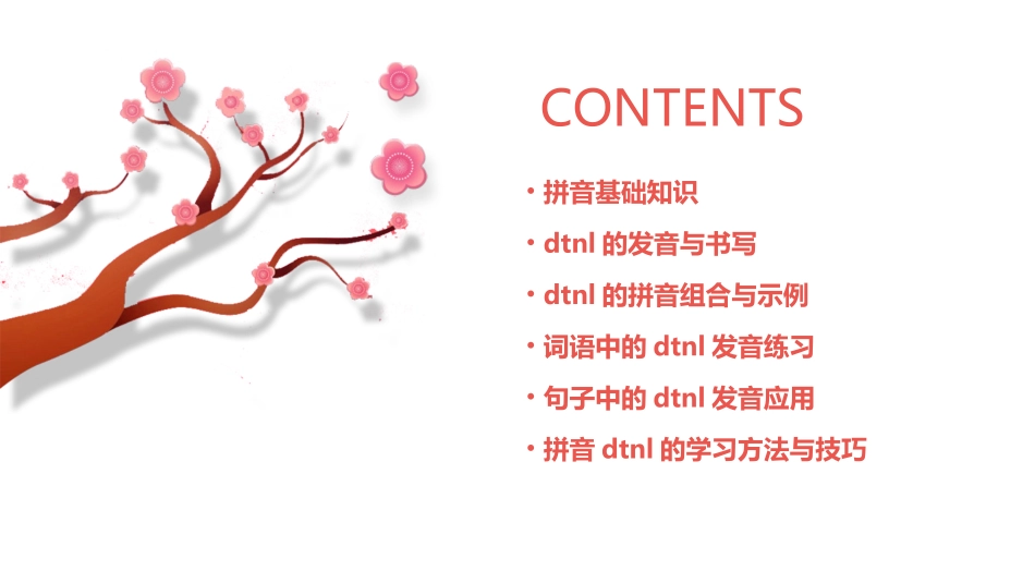 拼音dtnl上课课件_第2页