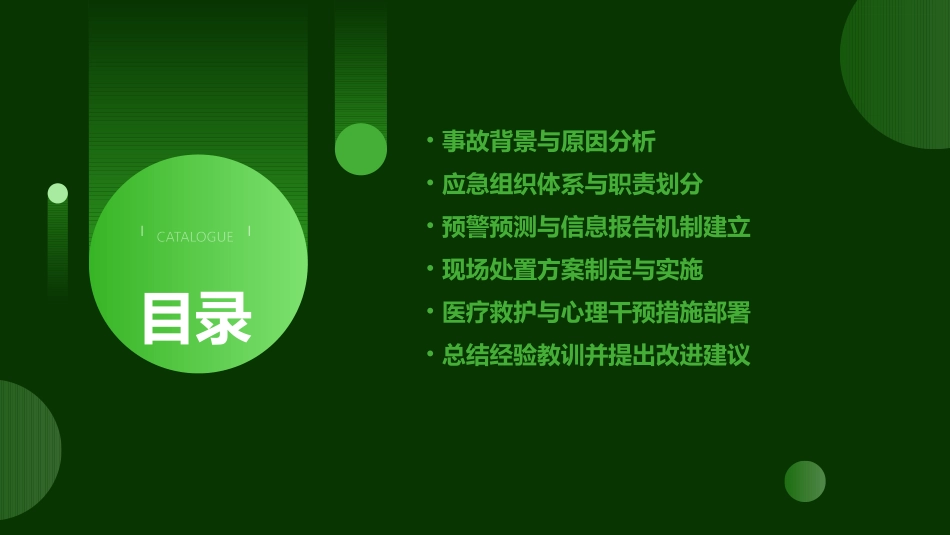 煤矿瓦斯爆炸事故专项应急预案_第2页