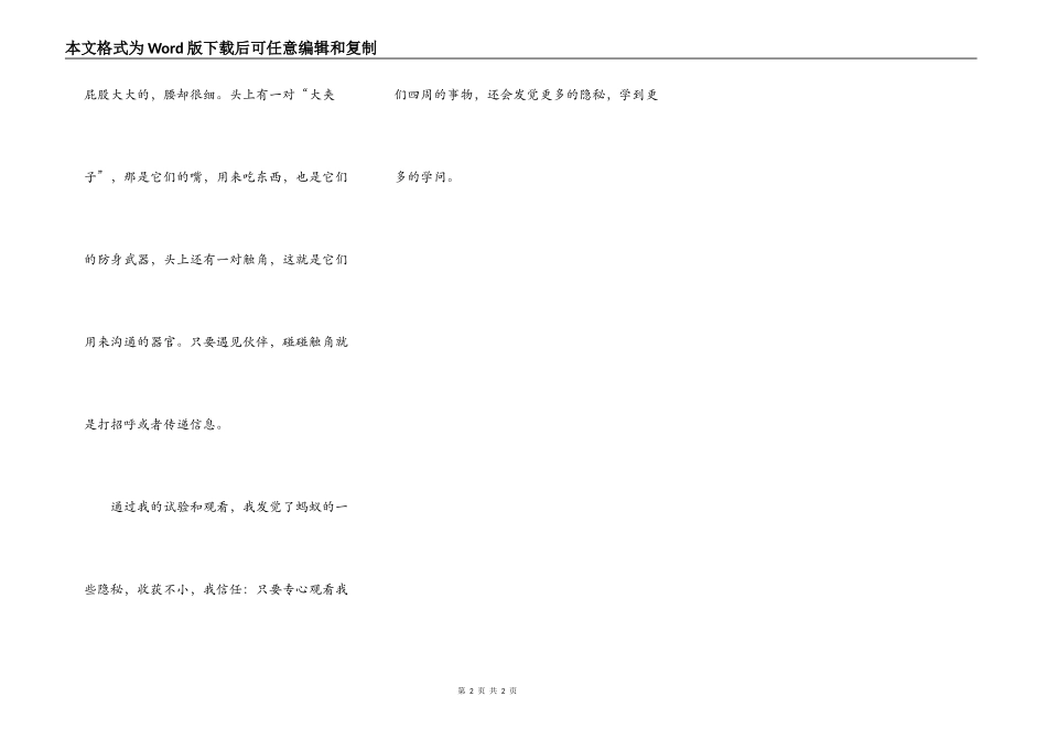 我发现蚂蚁的秘密_第2页
