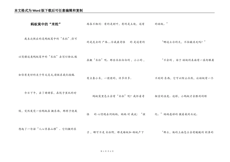 蚂蚁窝中的“米粒”_第1页