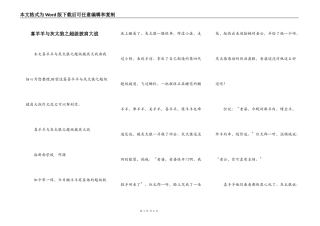 喜羊羊与灰太狼之超级披肩大战
