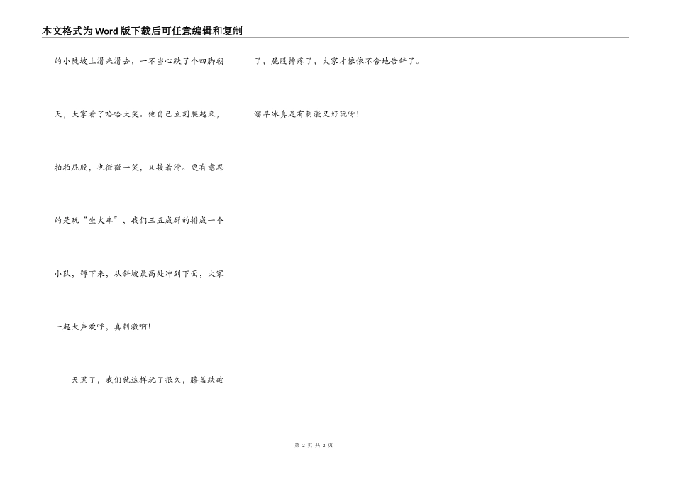 溜旱冰的乐趣_第2页