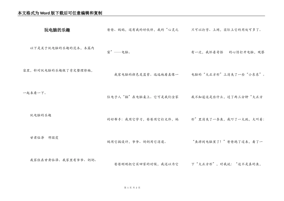 玩电脑的乐趣_第1页