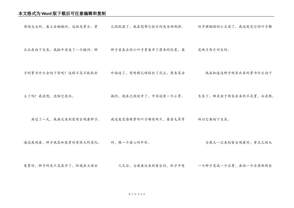 黄豆的生长过程_第2页