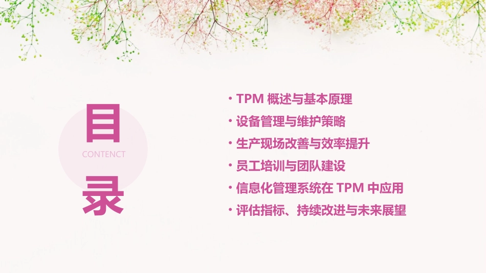 TPM原理(培训教材)ppt课件_第2页