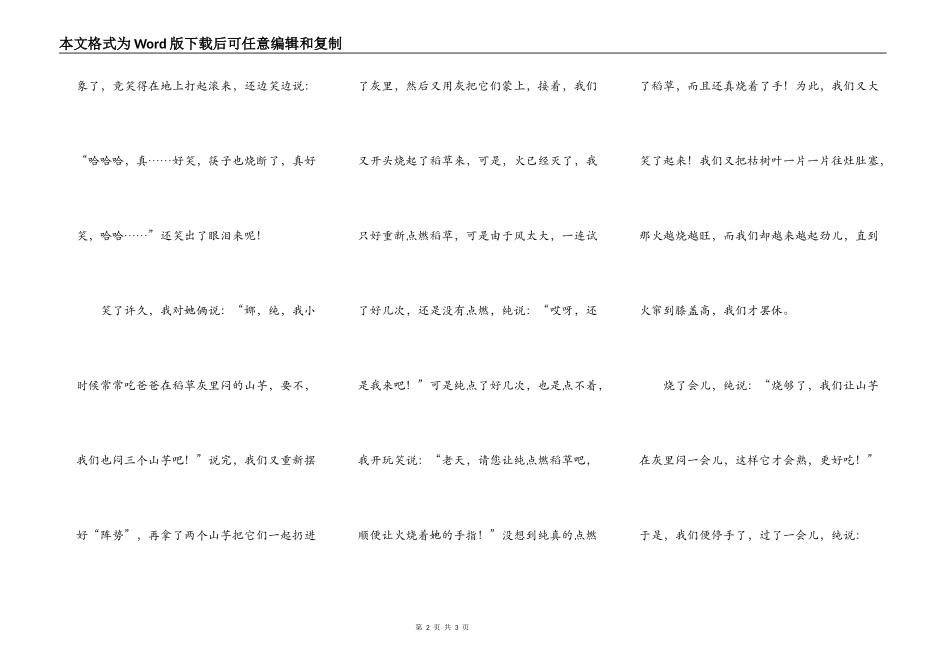 烧烤山芋其乐无穷_第2页