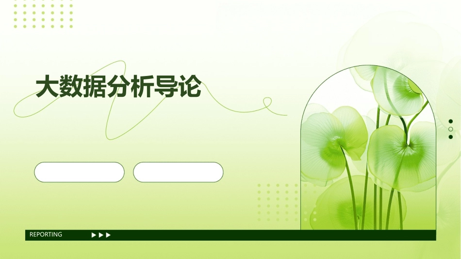 大数据分析导论_第1页