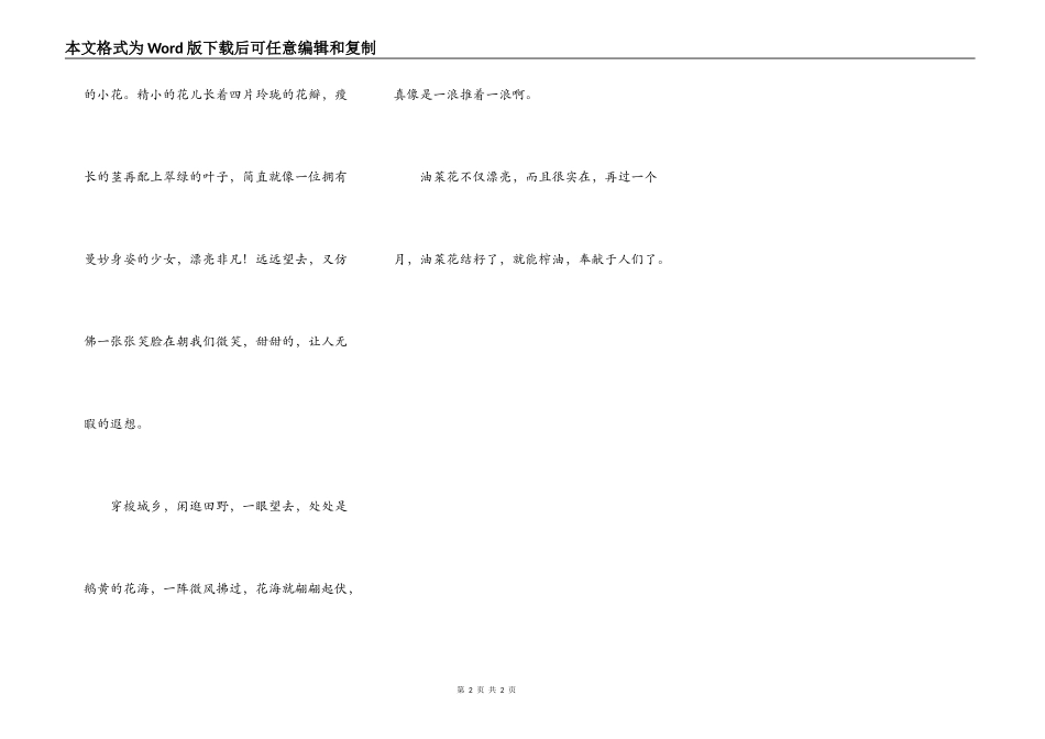 观油菜花所想_第2页