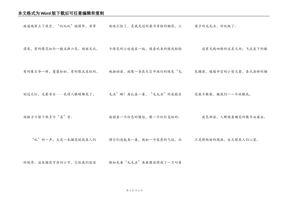 烟花飞扬的春节_第2页