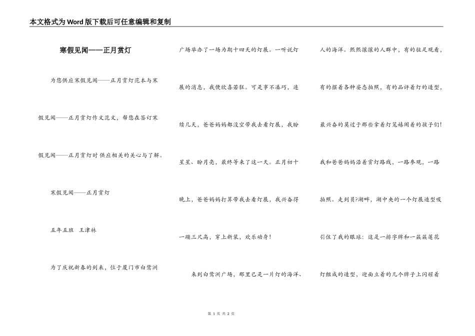 寒假见闻——正月赏灯_第1页