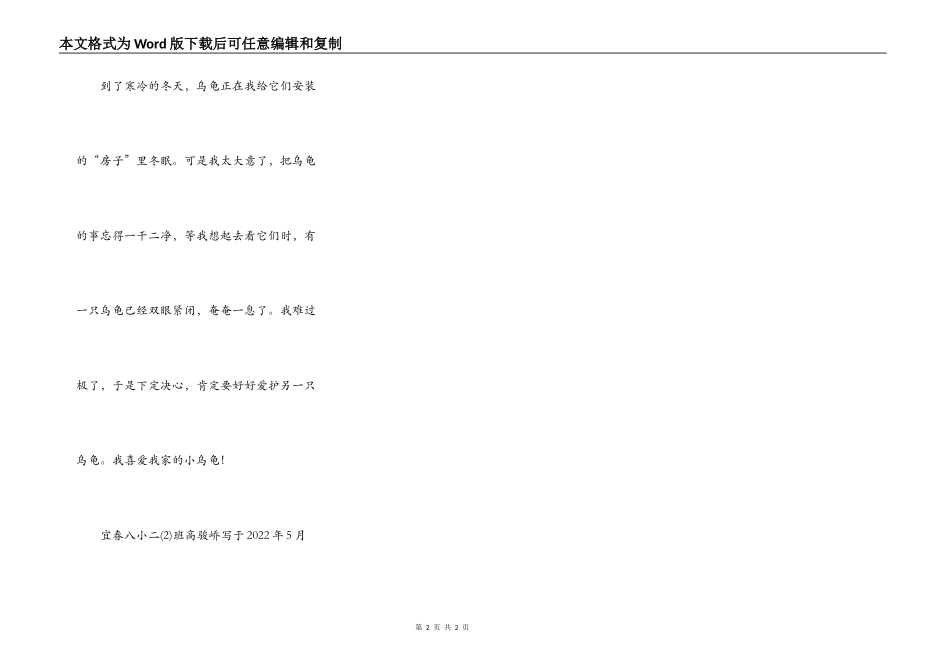 我喜欢的小动物——乌龟_第2页