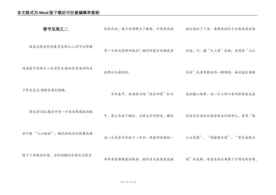 春节见闻之二_第1页