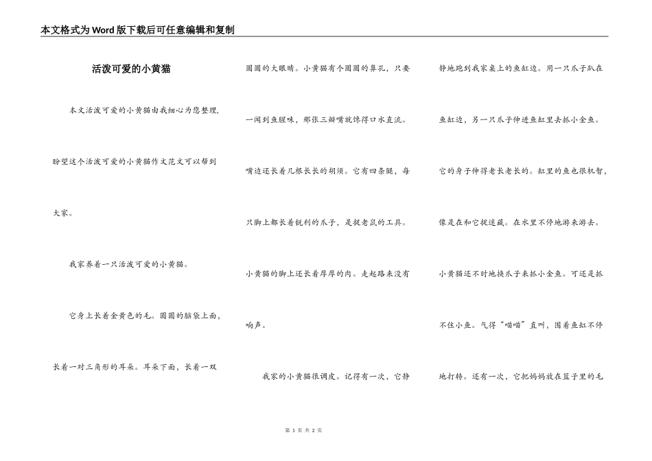 活泼可爱的小黄猫_第1页