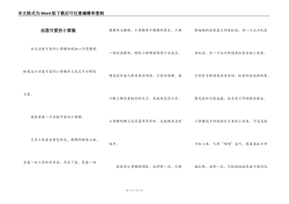 活泼可爱的小黄猫