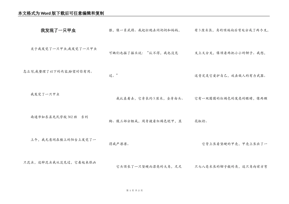 我发现了一只甲虫_第1页