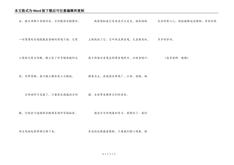 我发现了一只甲虫_第2页