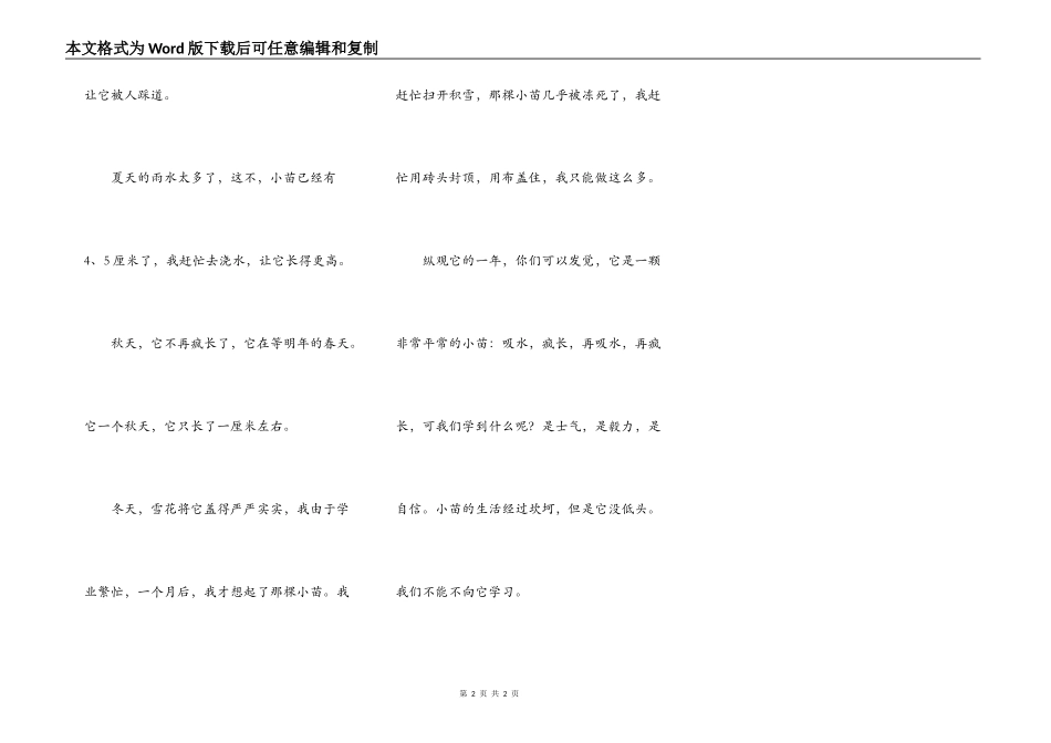 一个小种子给我们的启发_第2页