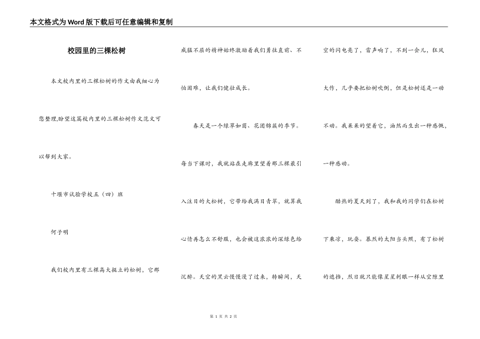 校园里的三棵松树_第1页