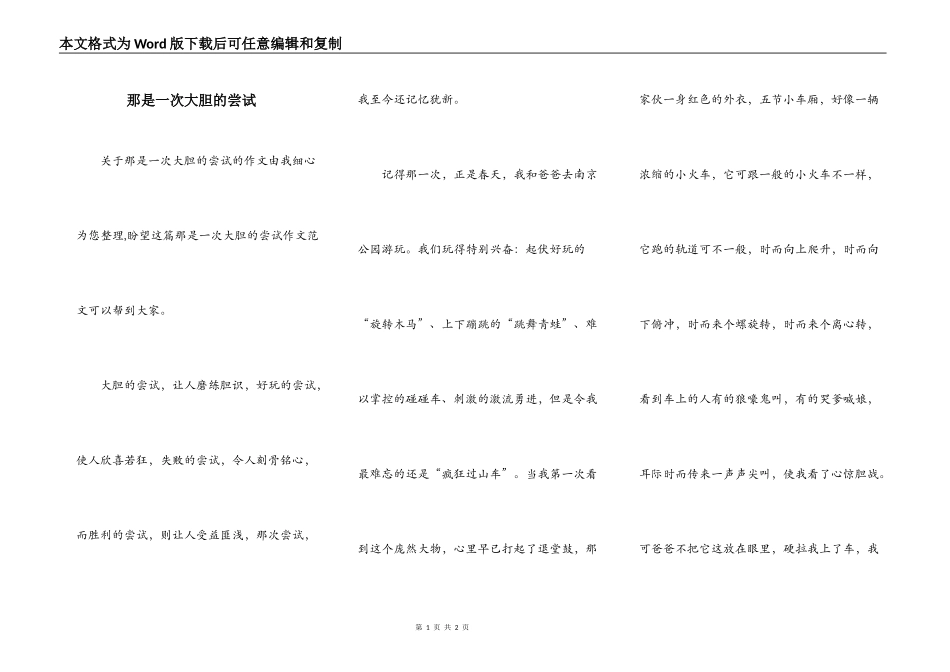 那是一次大胆的尝试_第1页