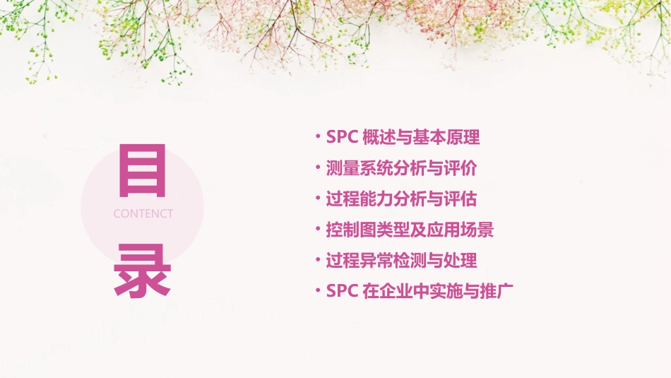 spc培训教材完整版_第2页