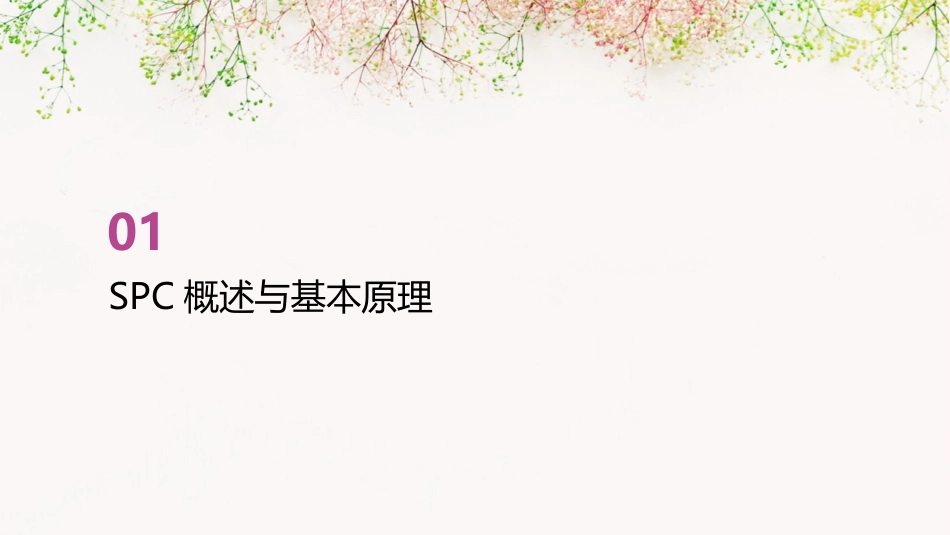 spc培训教材完整版_第3页