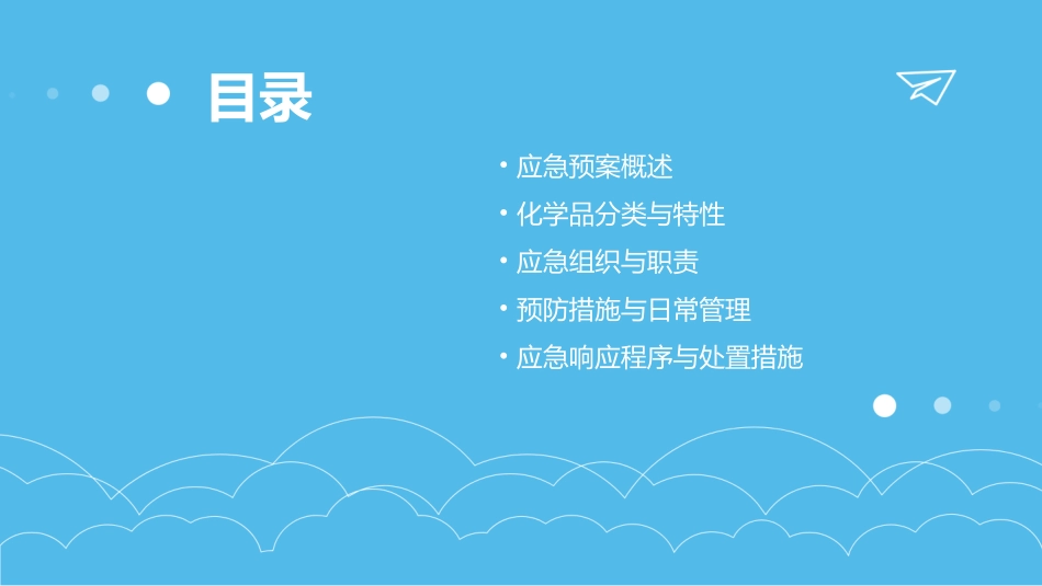 化学品应急预案(精选)_第2页