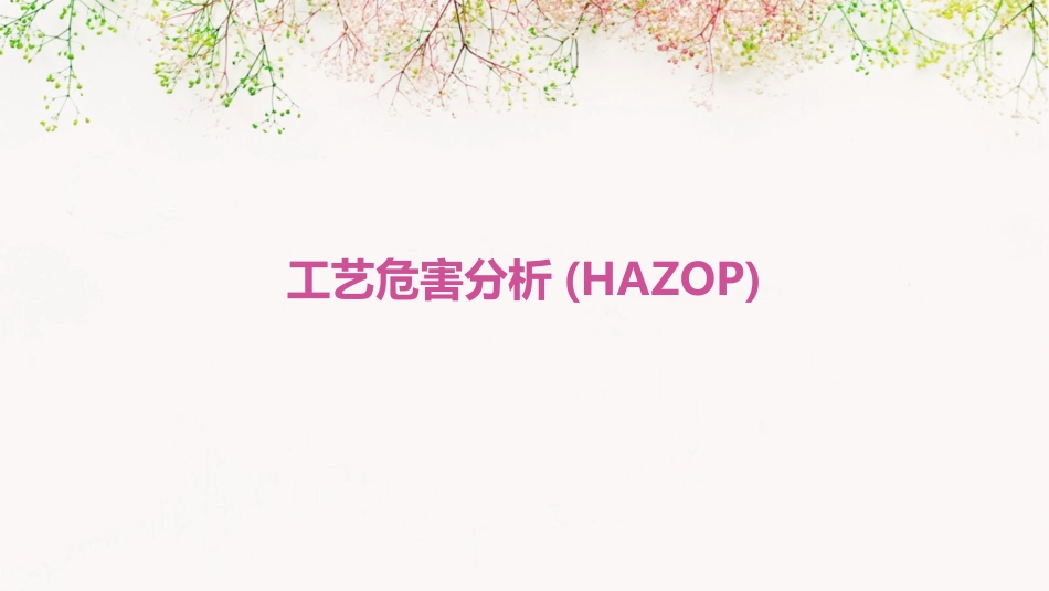 工艺危害分析(HAZOP)_第1页