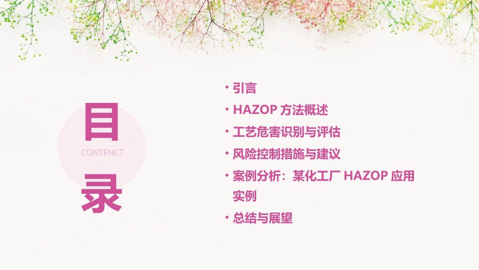 工艺危害分析(HAZOP)_第2页