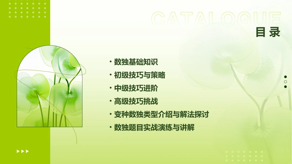 数独全部课程_第2页