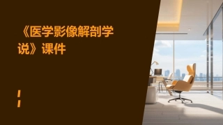 《医学影像解剖学说》课件