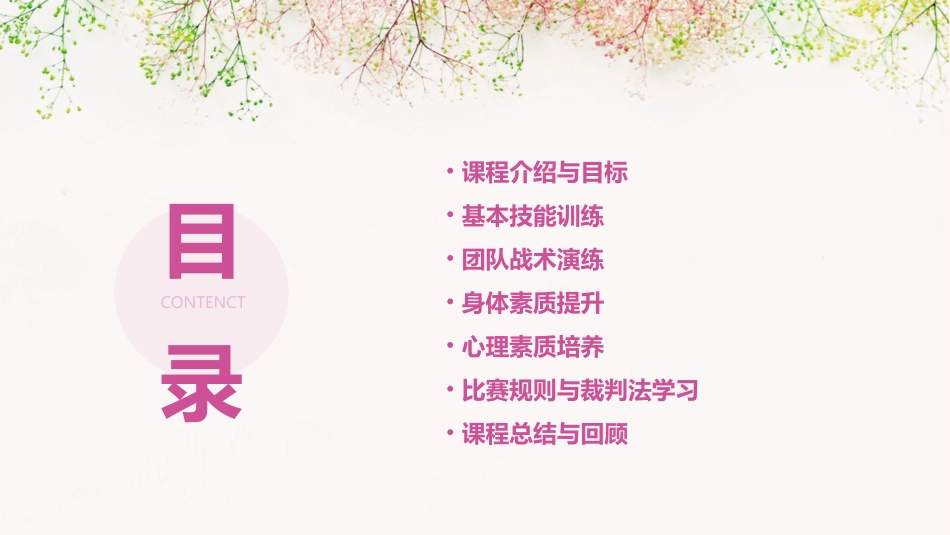 2024精选小学篮球课教案免费_第2页