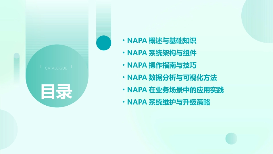 NAPA培训教程_第2页