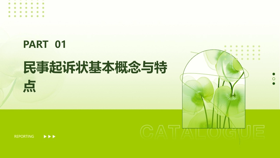 民事起诉状的概念ppt_第3页