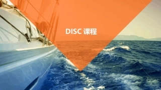 DISC课程