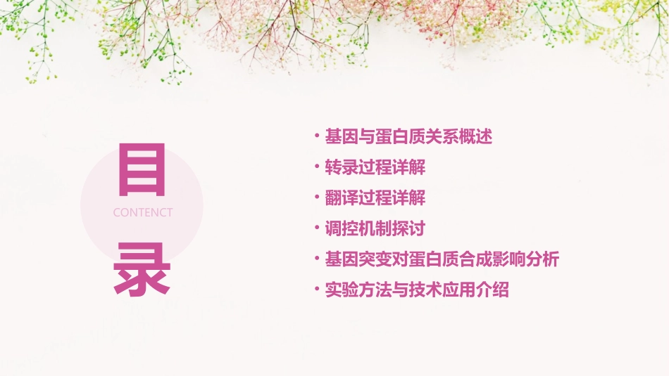 基因指导蛋白质的合成_第2页