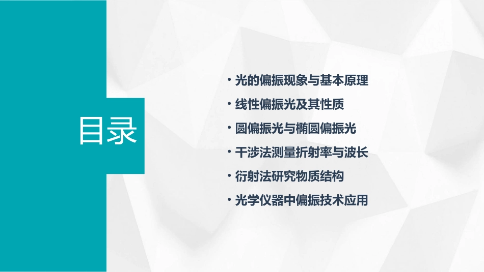 大学物理下光的偏振PPT课件_第2页
