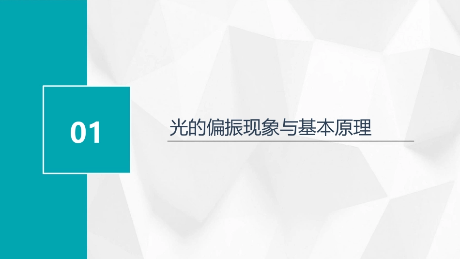 大学物理下光的偏振PPT课件_第3页