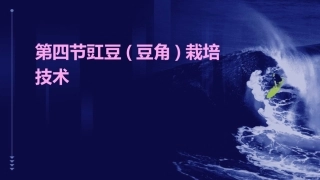 第四节豇豆(豆角)栽培技术