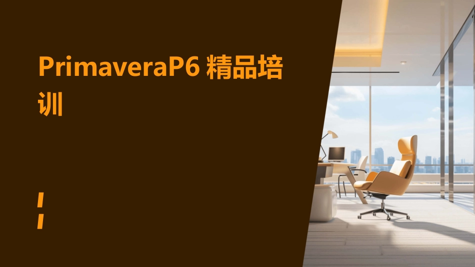 PrimaveraP6精品培训_第1页
