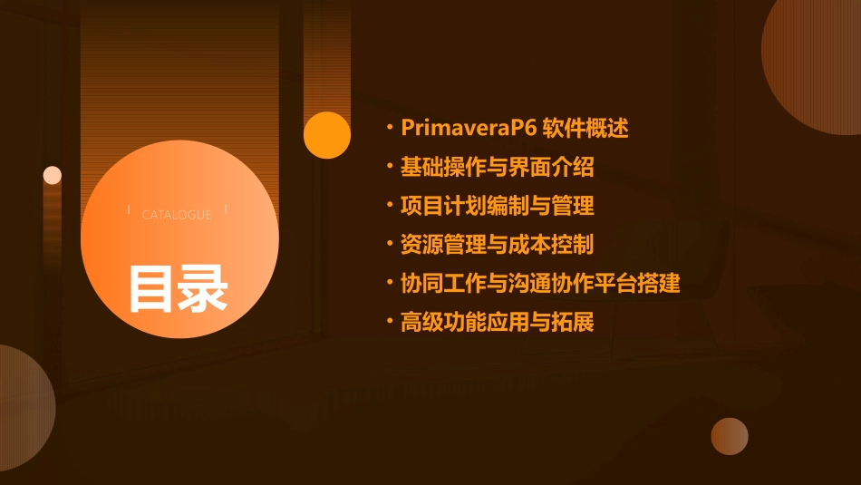 PrimaveraP6精品培训_第2页