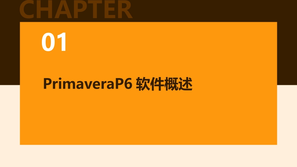 PrimaveraP6精品培训_第3页