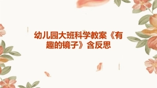 幼儿园大班科学教案《有趣的镜子》含反思
